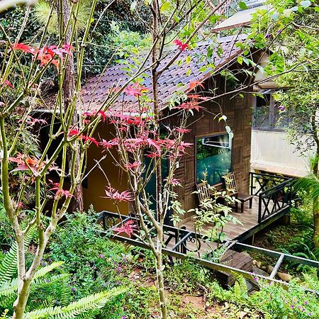 Bazan Home - Hotel & Bungalow Plây Ku Exterior foto